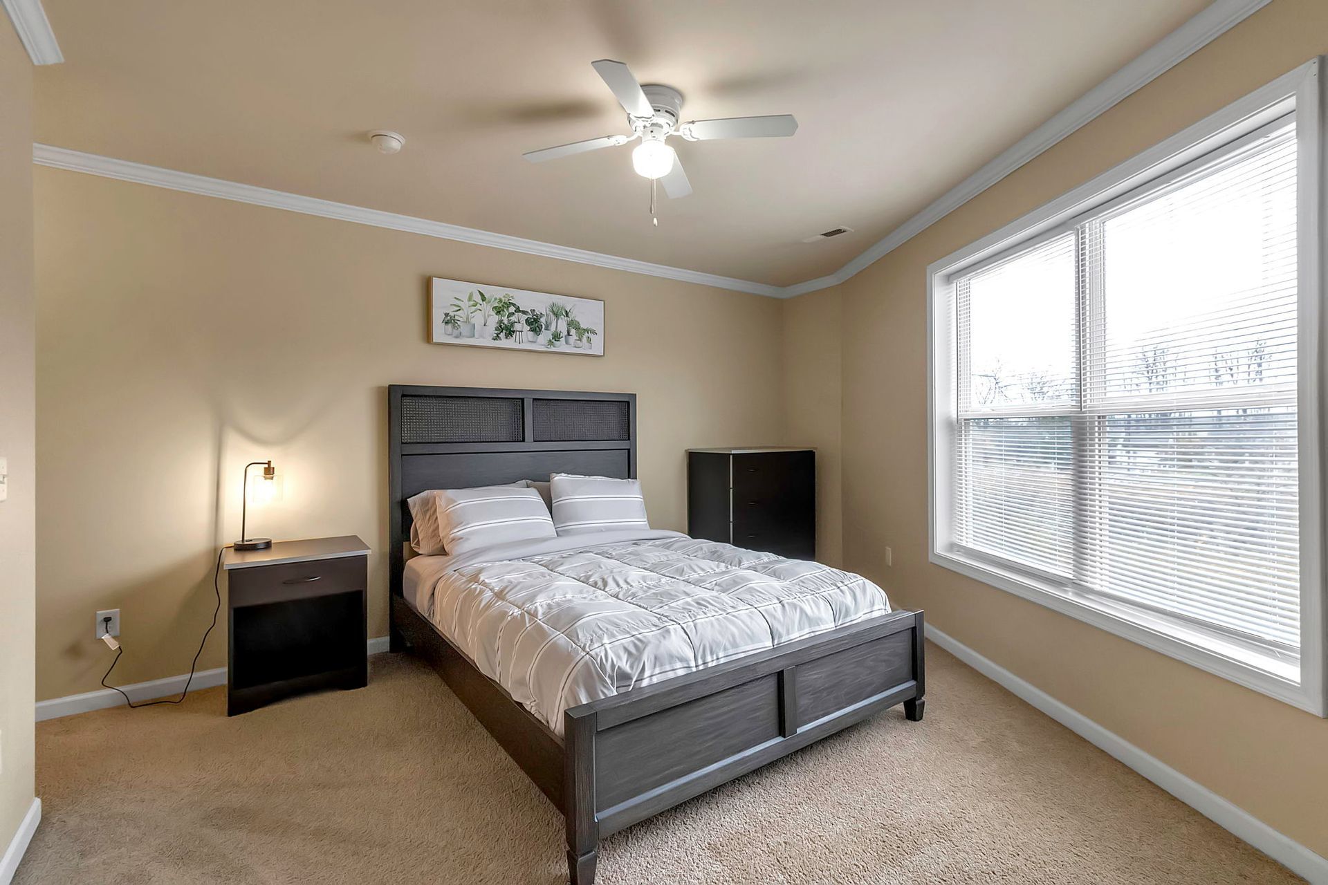 A bedroom with a bed , nightstand , ceiling fan and two windows.