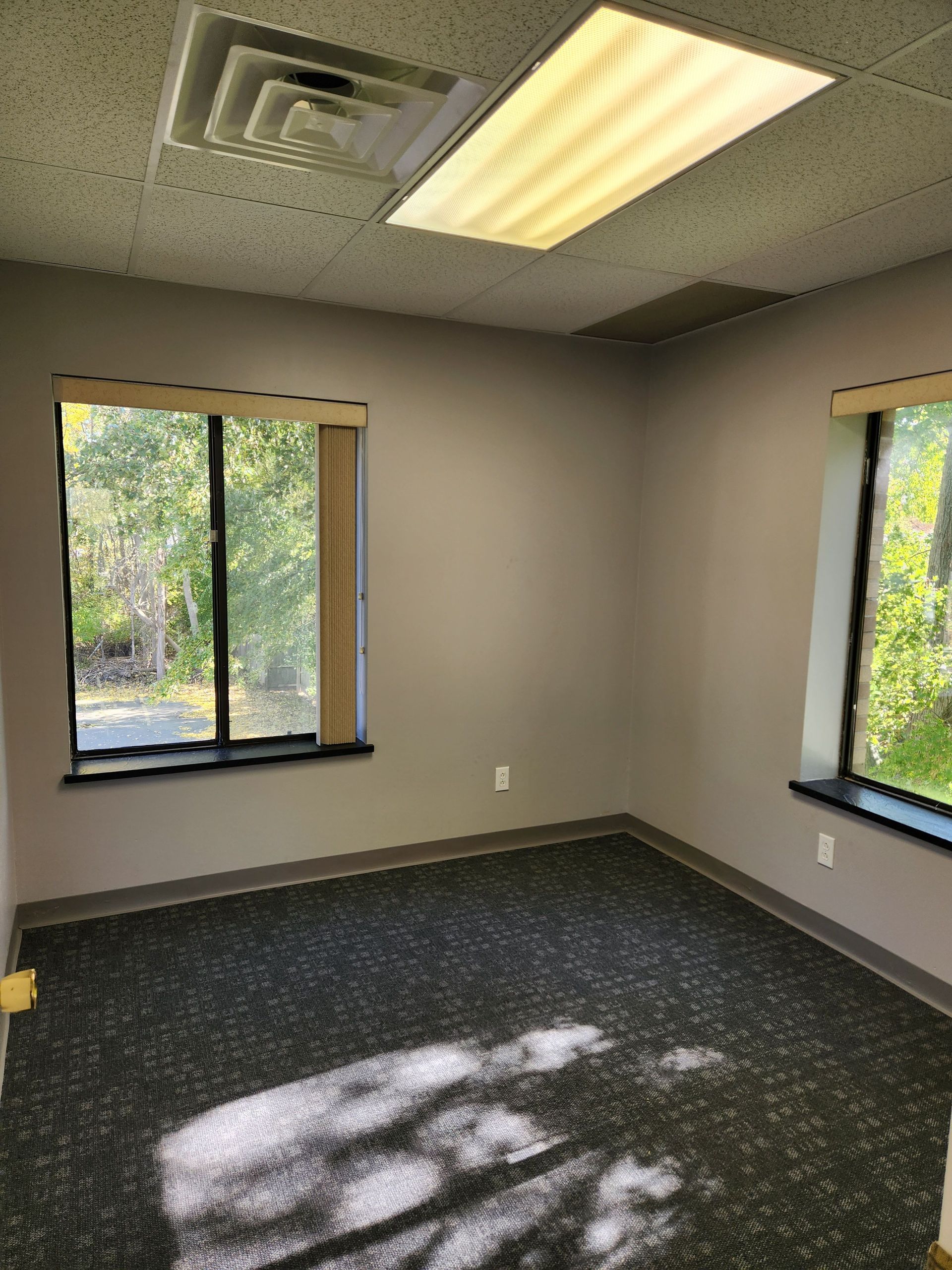An empty room with two windows and a ceiling light.