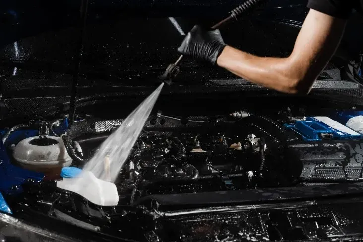 A person is cleaning the engine of a car with a high pressure washer.