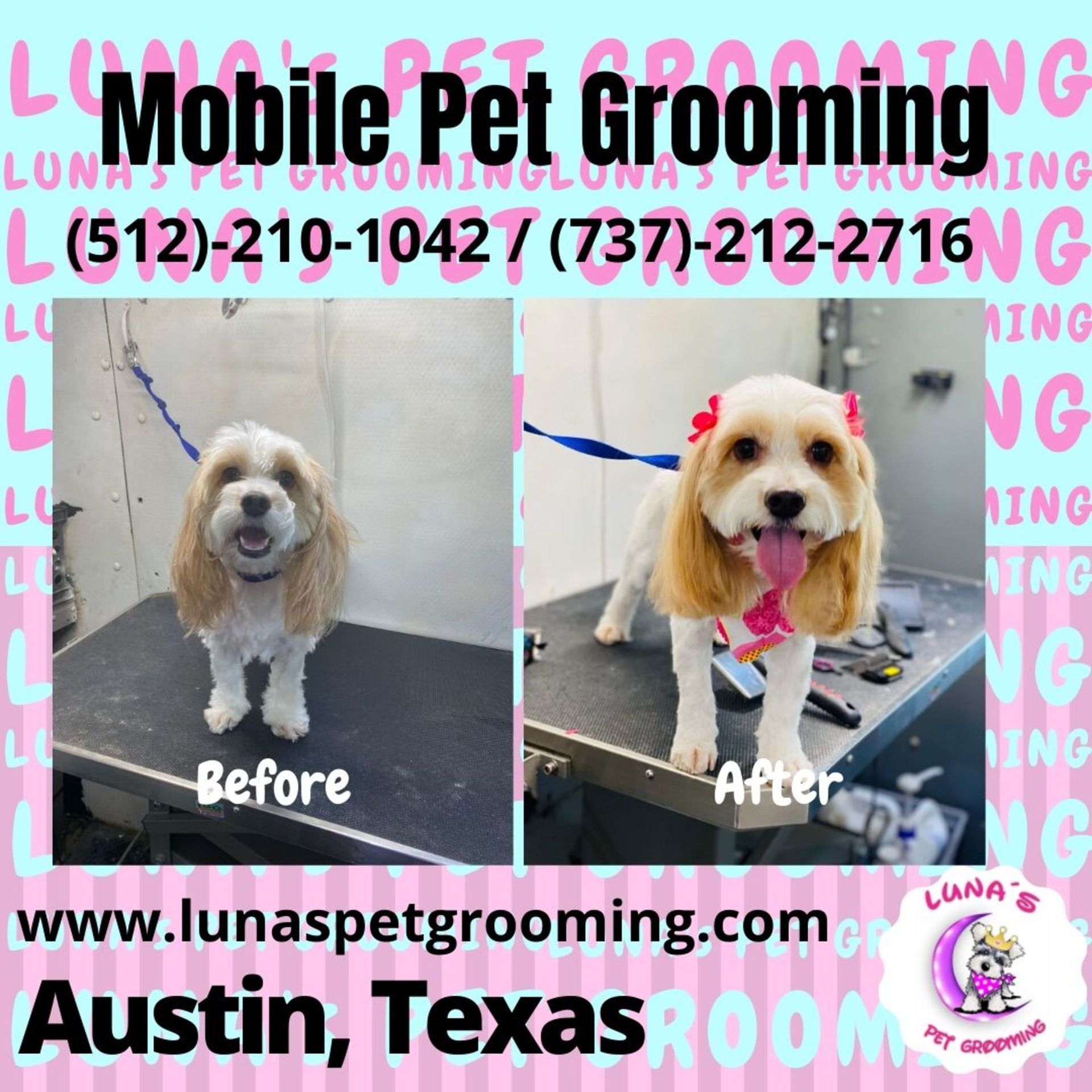 Home Luna's Pet Grooming Austin, TX