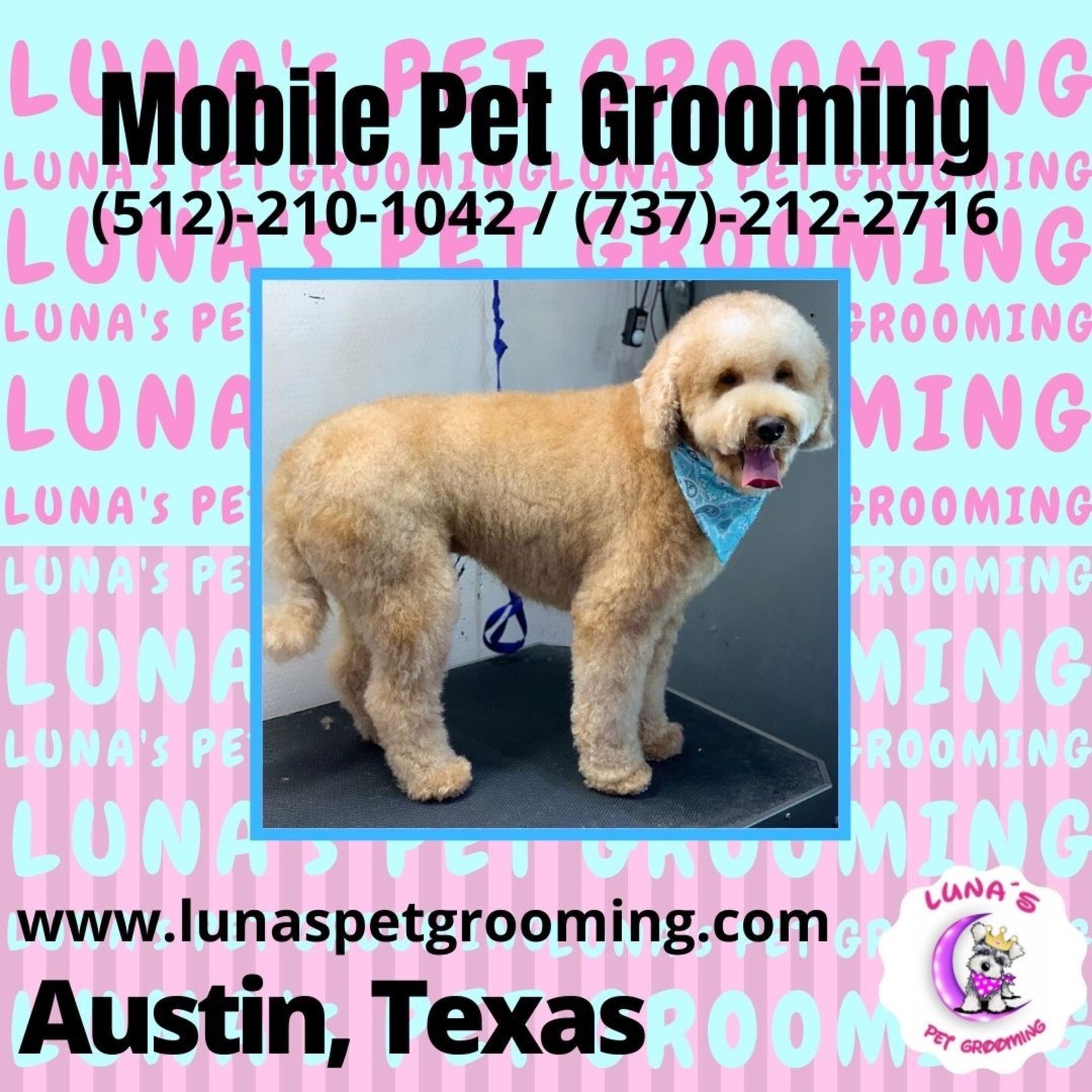 Home Luna's Pet Grooming Austin, TX