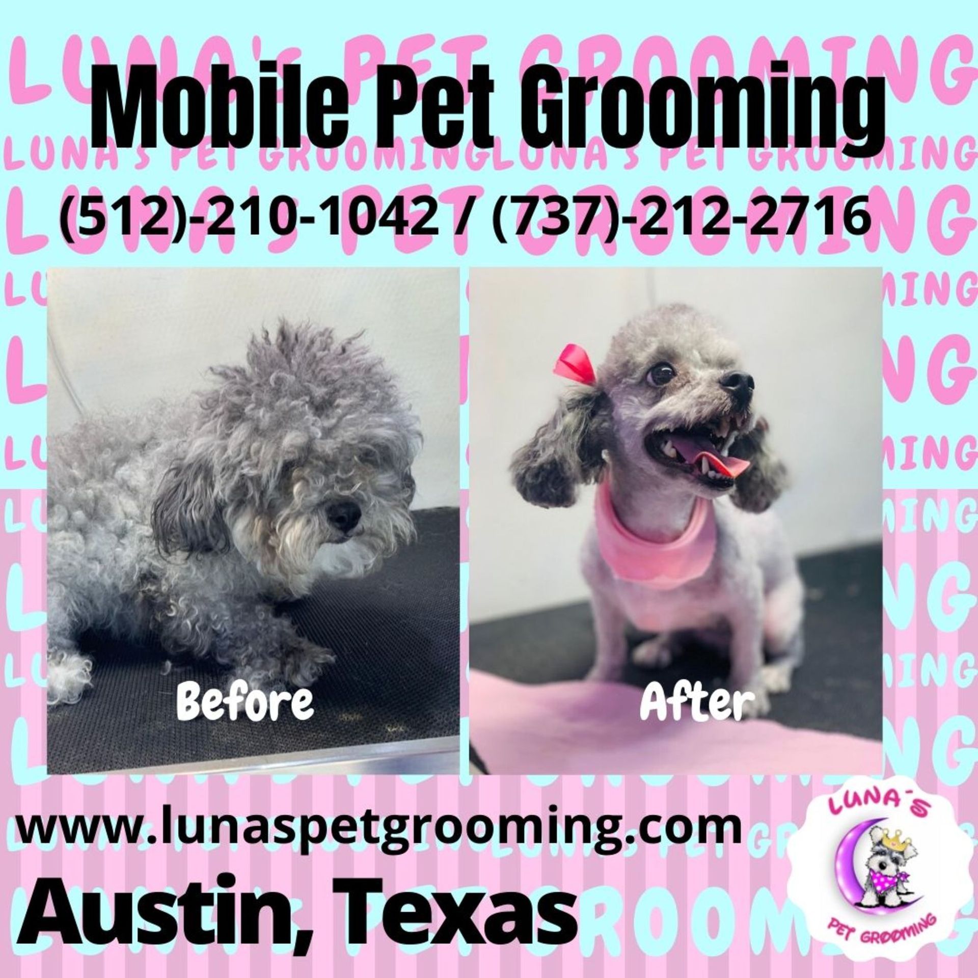Home Luna's Pet Grooming Austin, TX