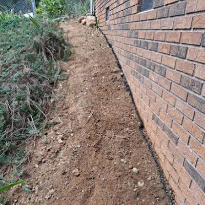 Narrow dirt path beside a brick wall, with shrubs and rocks along the left side.