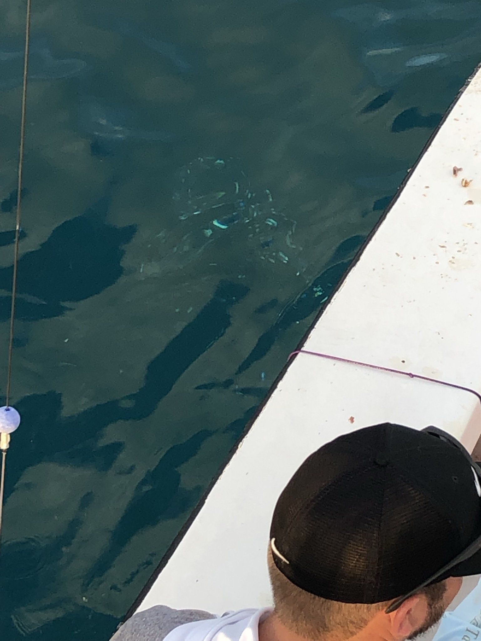 A man in a black hat is fishing in the water on a boat.
