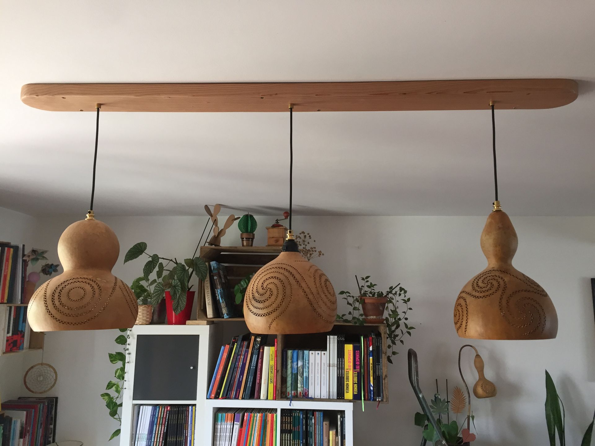 Triple suspensions courges lagenaria