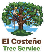 Tree Service in Dublin, GA | El Costeño Tree Service Tree Service in Dublin, GA | El Costeño Tree Service