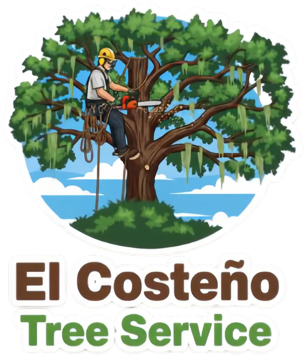 Tree Service in Dublin, GA | El Costeño Tree Service Tree Service in Dublin, GA | El Costeño Tree Service