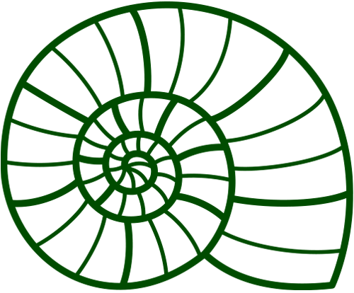 Muschel
