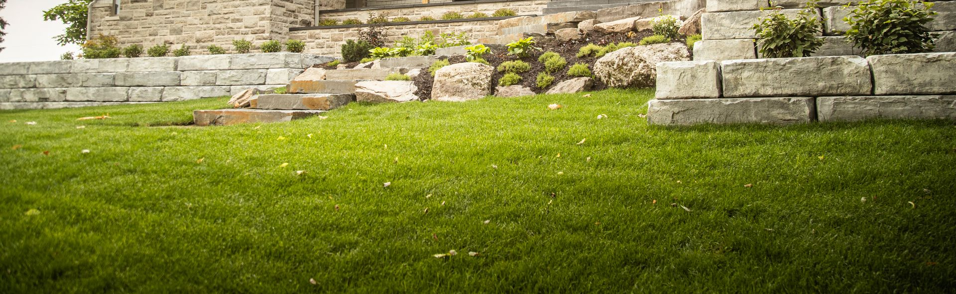 Sloped green lawn with stone retaining walls, steps and garden beds