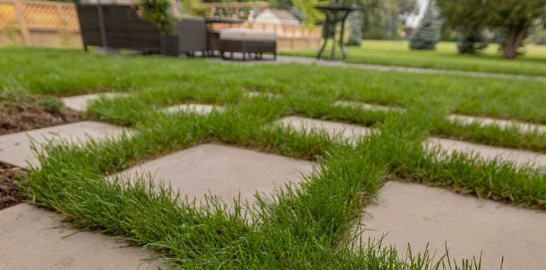 Modern backyard walkway with large concrete stepping stones set in lush green grass.