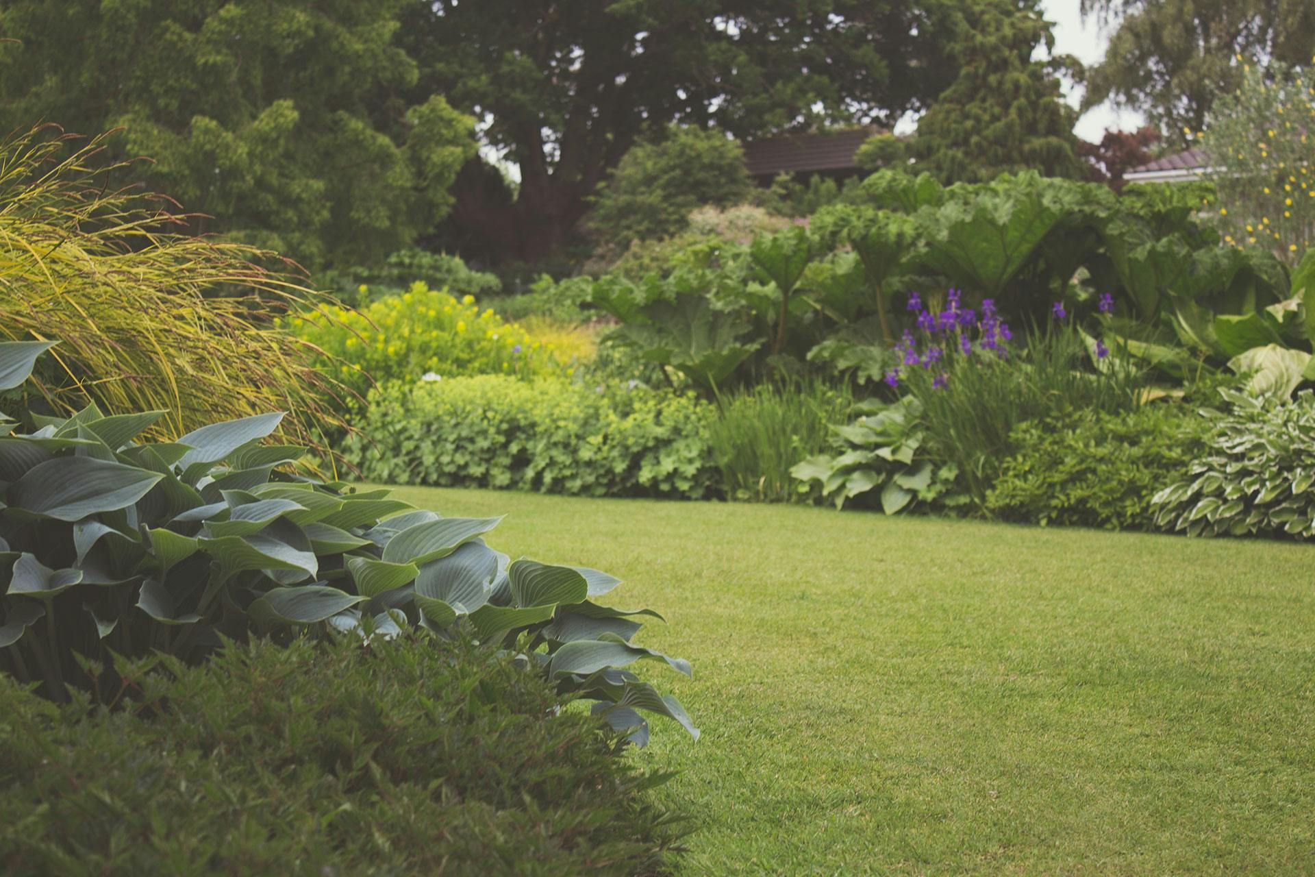 Landscaped backyard with green lawn, mature trees and garden beds