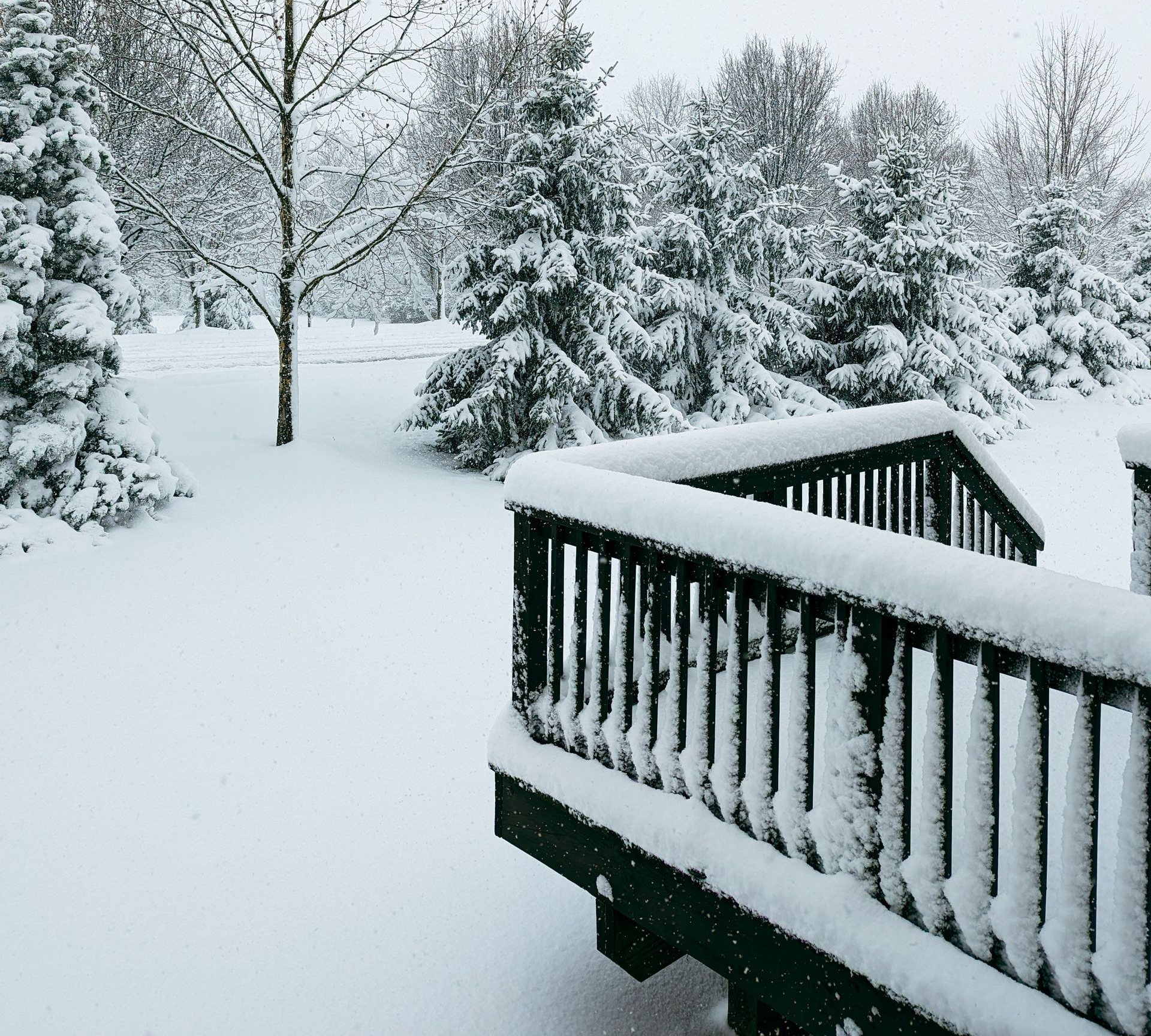 Snow-covered backyard with trees, shrubs and a wooden deck