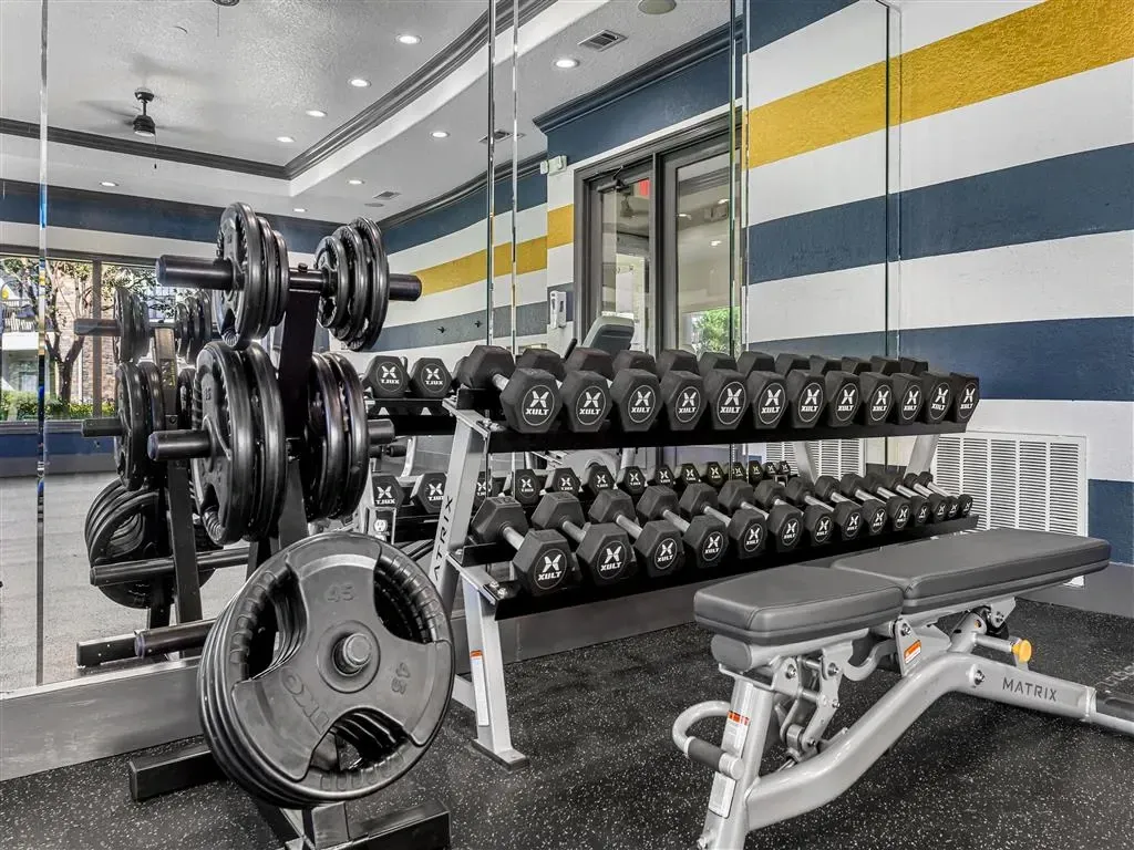 Weight room with dumbbell racks and weight plates.