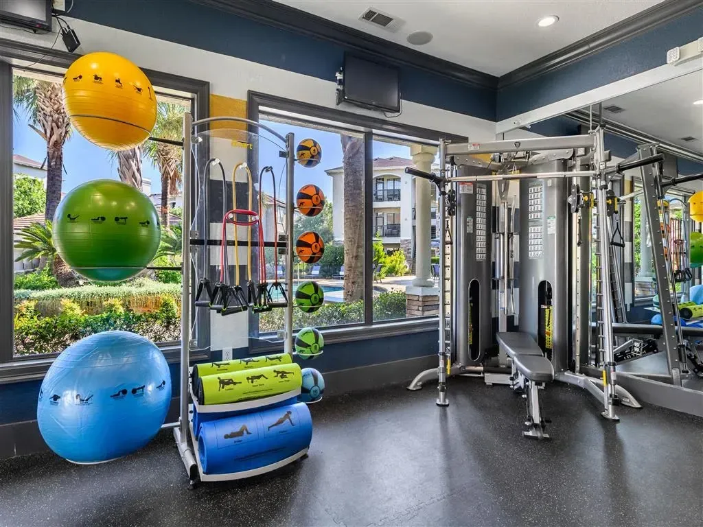Gym with weights, resistance bands, stability balls, and mats. Large windows overlook palm trees and buildings.