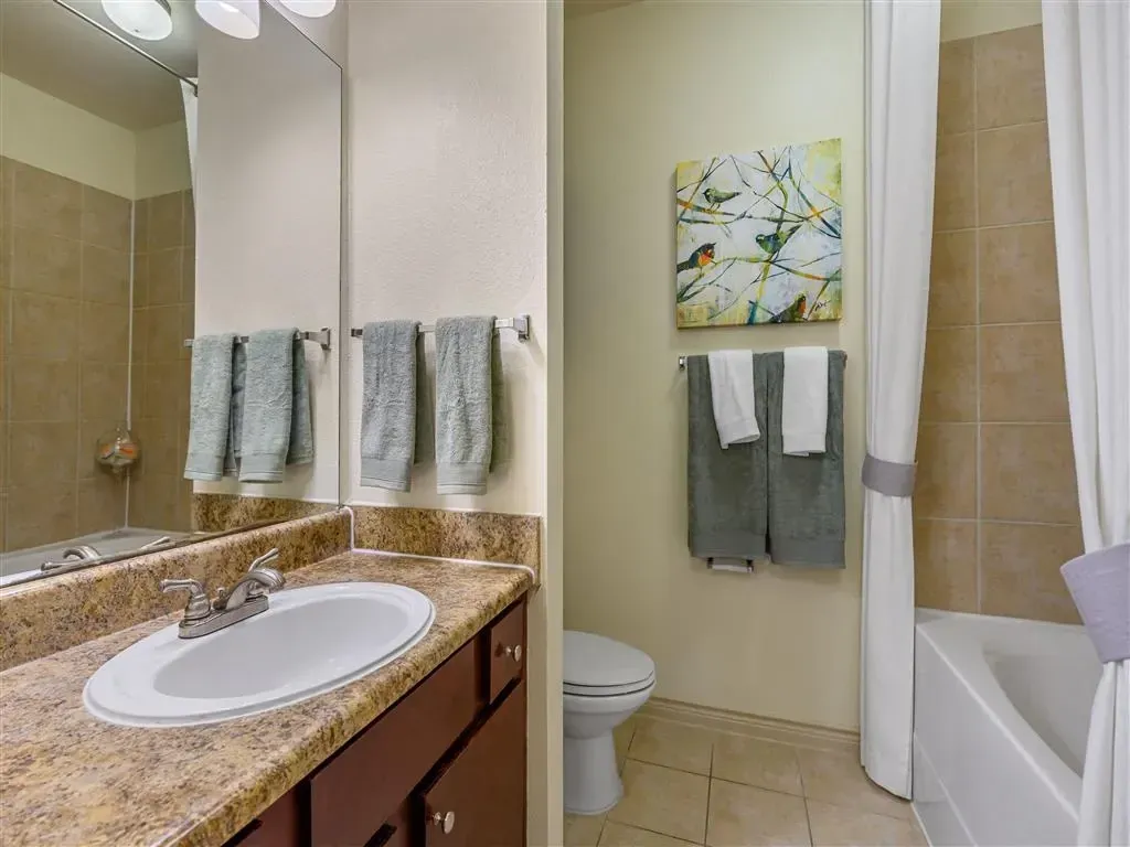 Bathroom vanity with sink, mirror, toilet, and bathtub with shower curtain.
