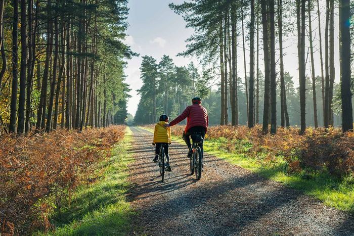 Father and Child Bonding — Laguna Hills, CA — Dr. Debra A Hill, MD Two people biking on a forest path lined with tall trees, sunny day.