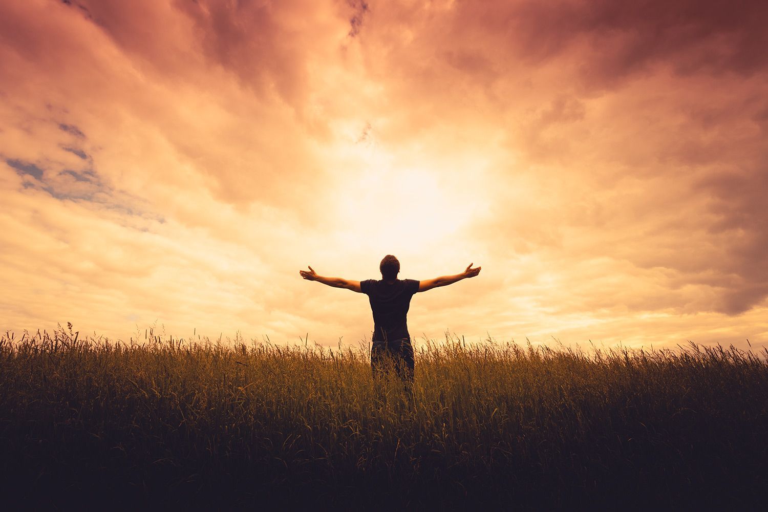 Man Enjoying the Sunset — Laguna Hills, CA — Dr. Debra A Hill, MD Person standing in field with arms outstretched towards the sky, silhouetted against a sunset.