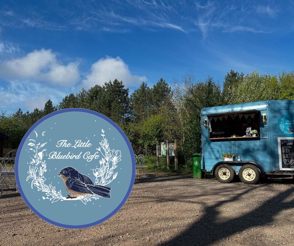Blue coffee trailer with serving window beside a circular bird logo in a sunny wooded clearing