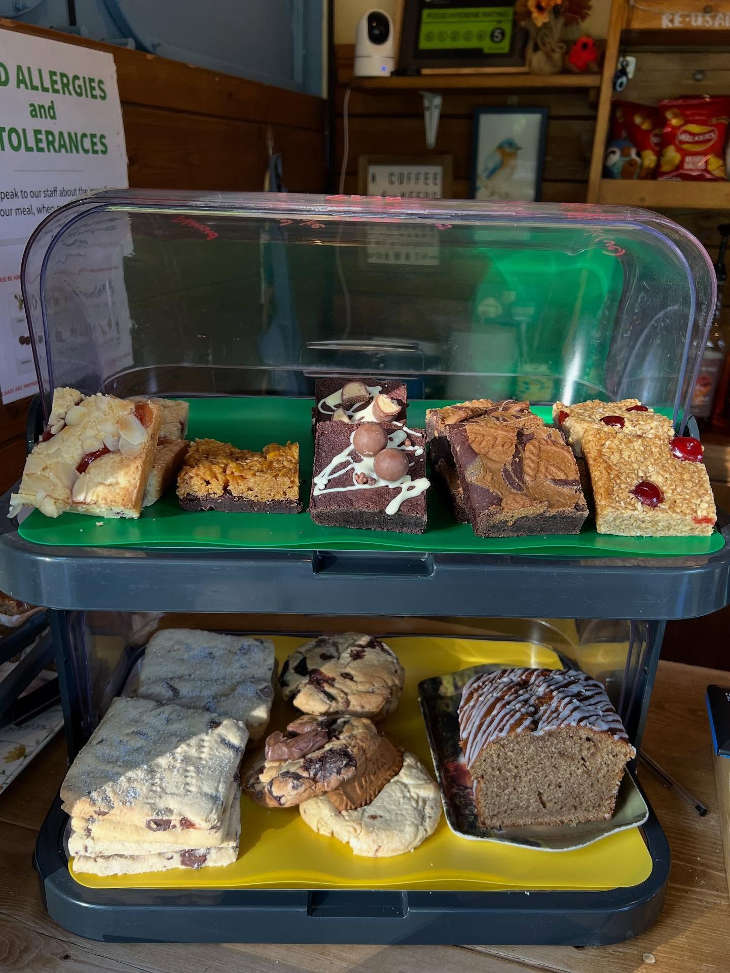 Bakery display case with assorted brownies and dessert bars on green and yellow trays