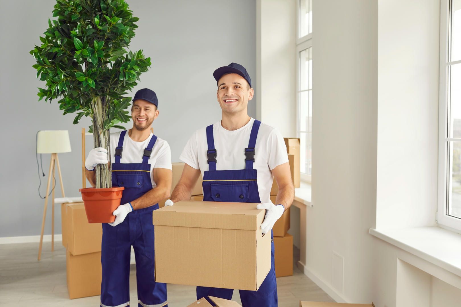 Two men are carrying boxes and a potted plant in a room.