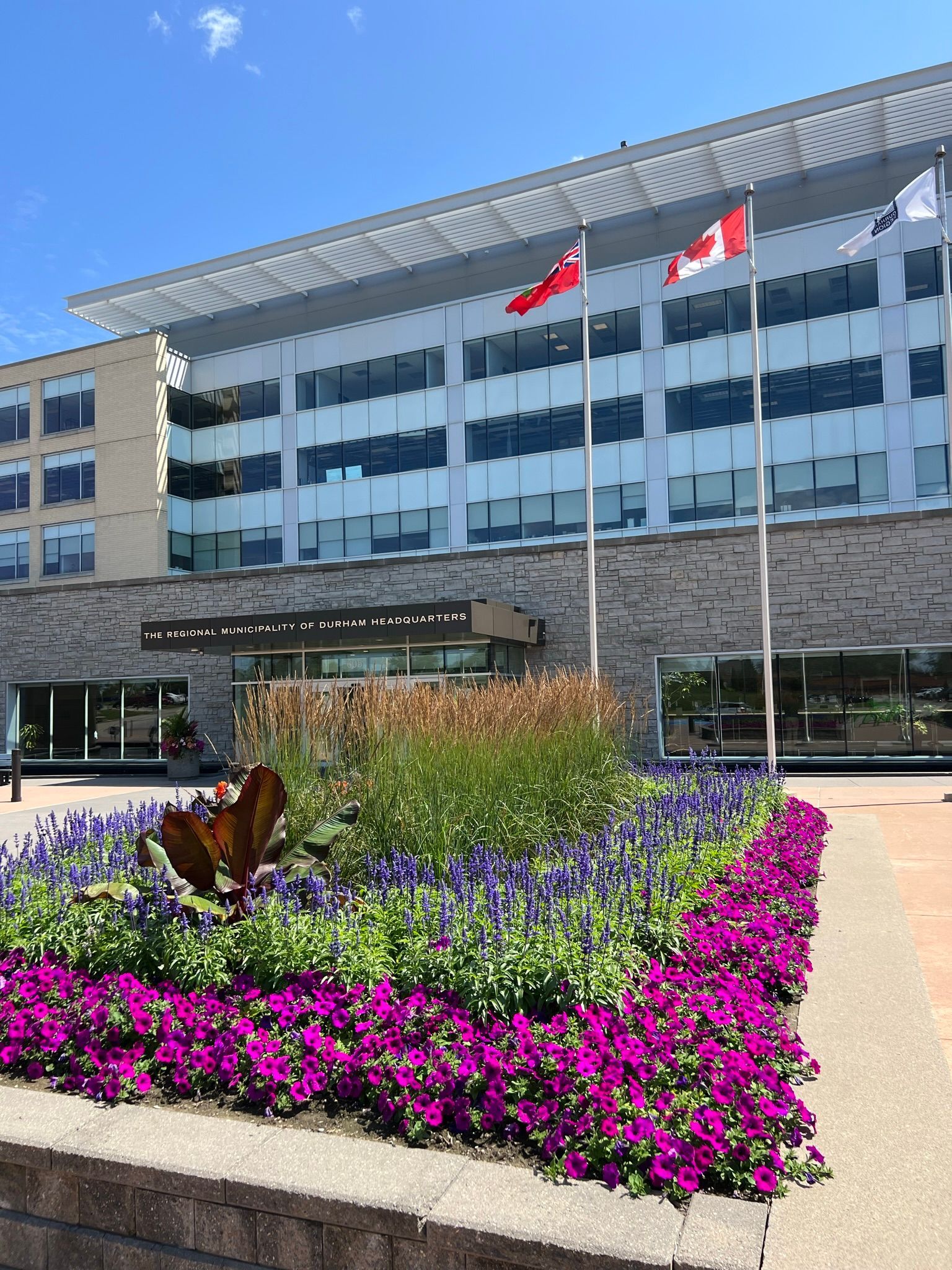 Office building with flowerbeds; flags of Canada and Ontario flying on a sunny day.