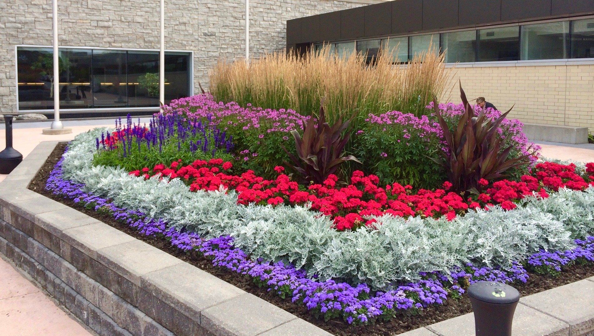 A garden with red , white and purple flowers in front of a building.