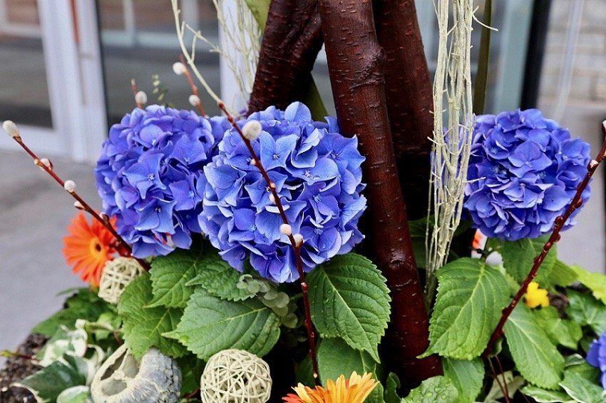 A planter filled with blue flowers and green leaves.