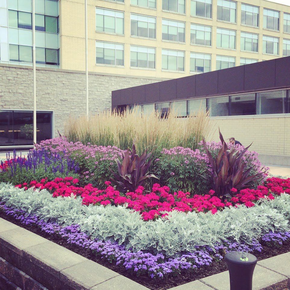 A large building with a large flower bed in front of it