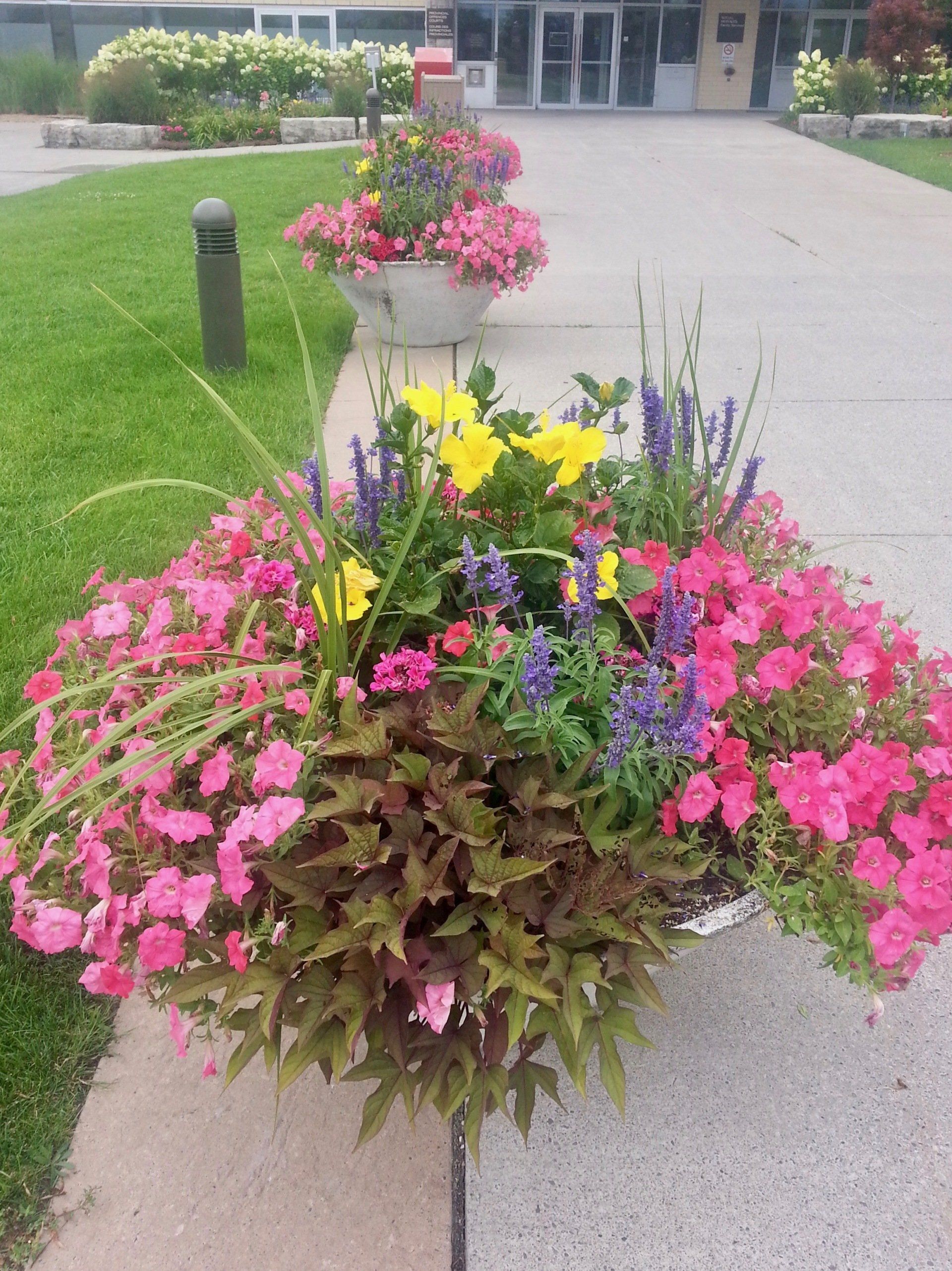 A planter filled with pink and yellow flowers sits on a sidewalk