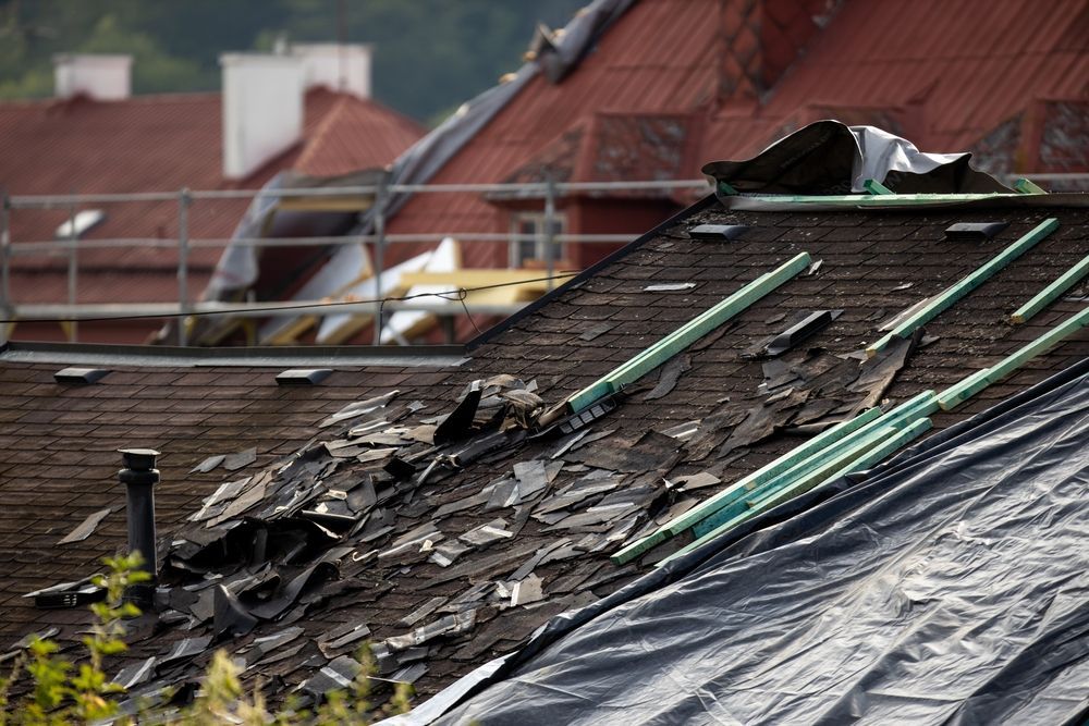 Damaged roof with torn shingles and black tarp after storm, with neighboring rooftops in the background