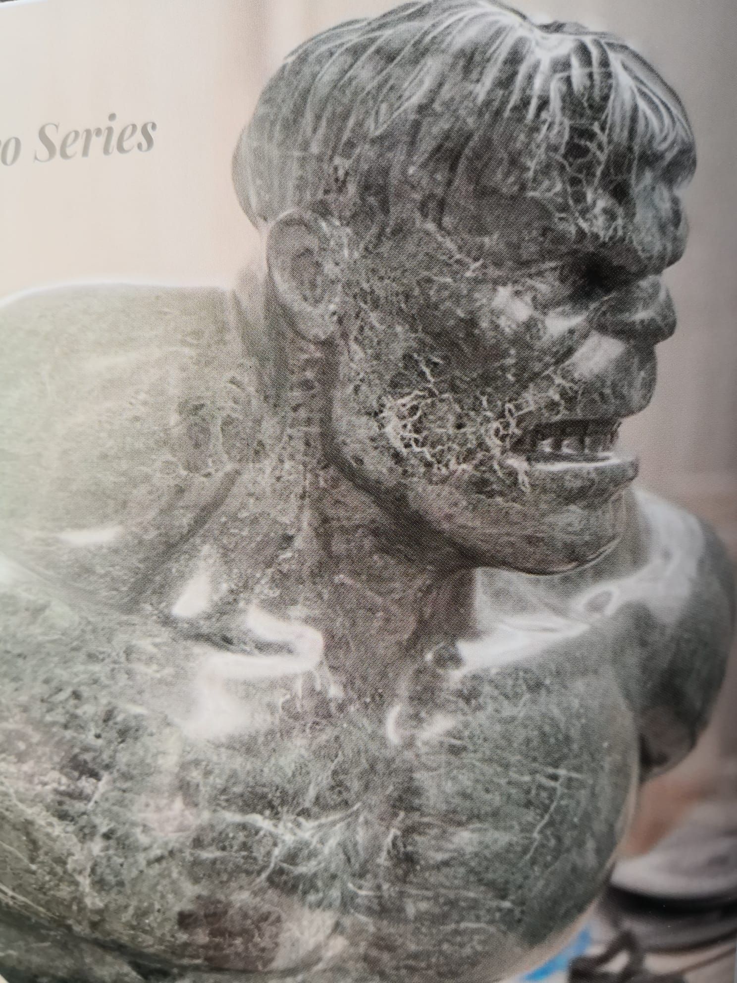 trasporto opere d'arte mostre