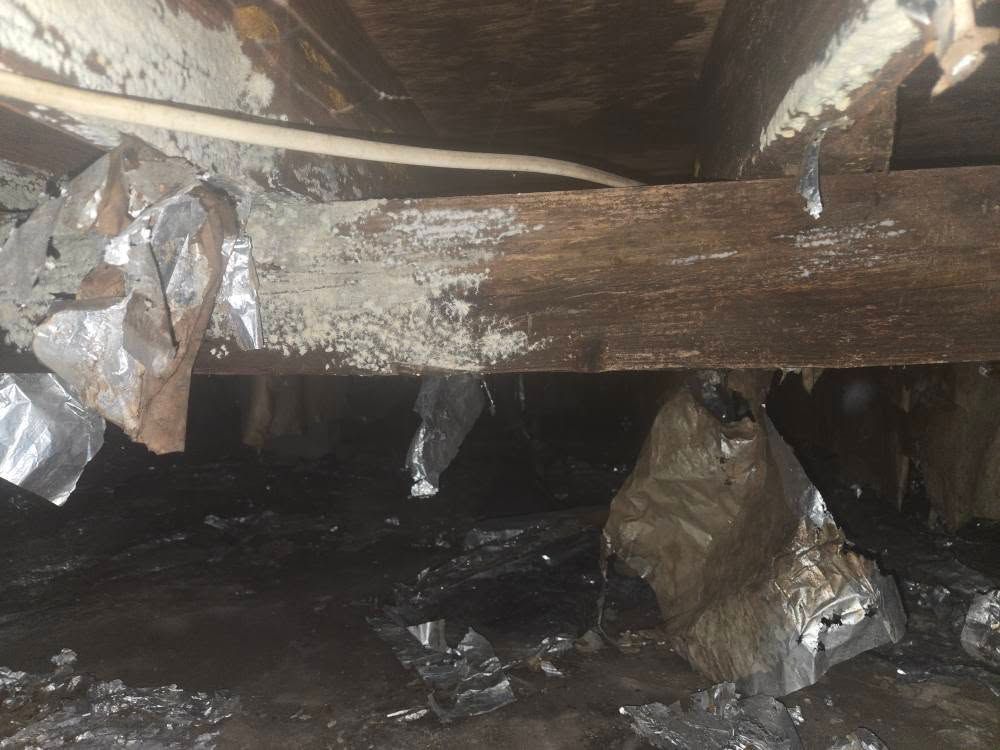 Dark, muddy stream under a low wooden bridge with plastic-wrapped debris hanging from the beams