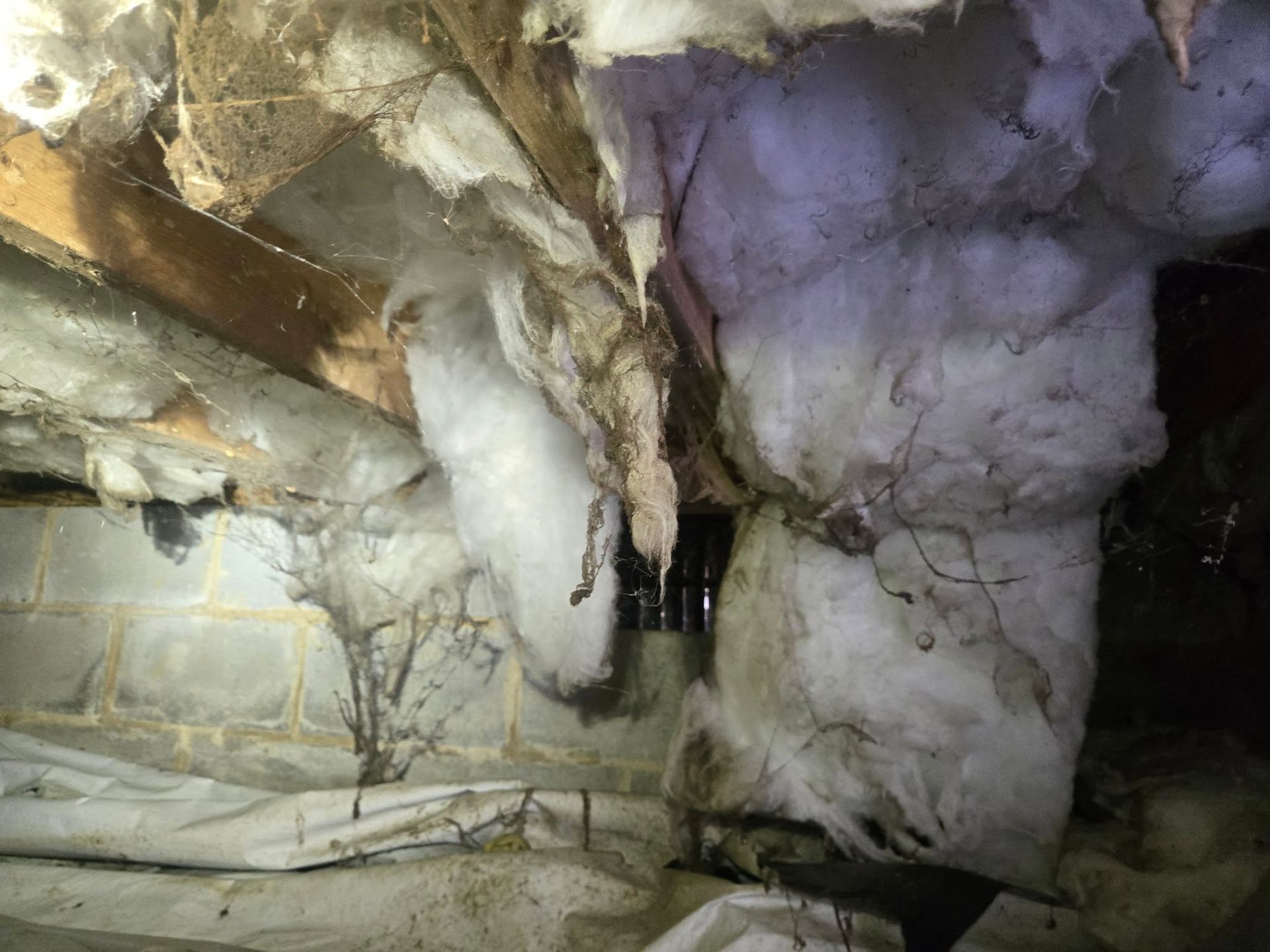 Insulated attic crawlspace with exposed beams, white and purple foam insulation, and a dark opening