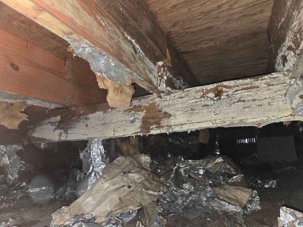 Damaged wooden beams with peeling paint and insulation in a dark crawl space