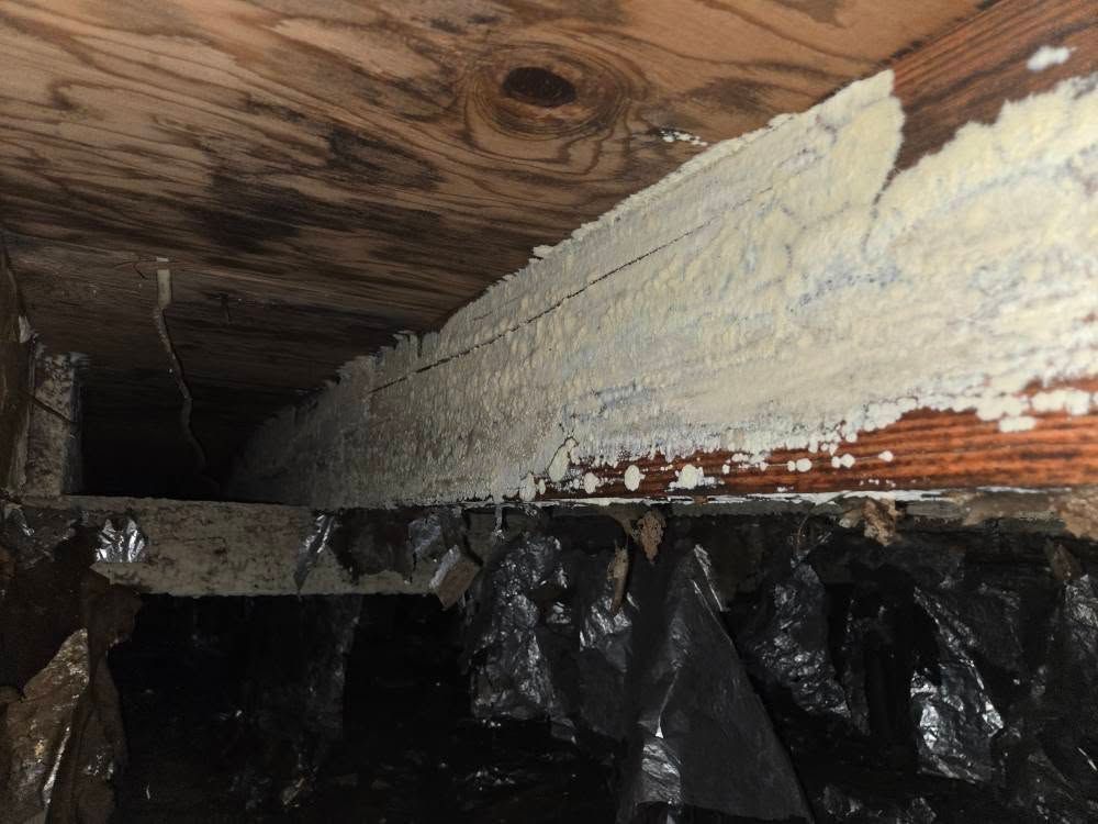 Close-up of a damaged wall cavity with peeling white paint, exposed wood, and black plastic sheeting.