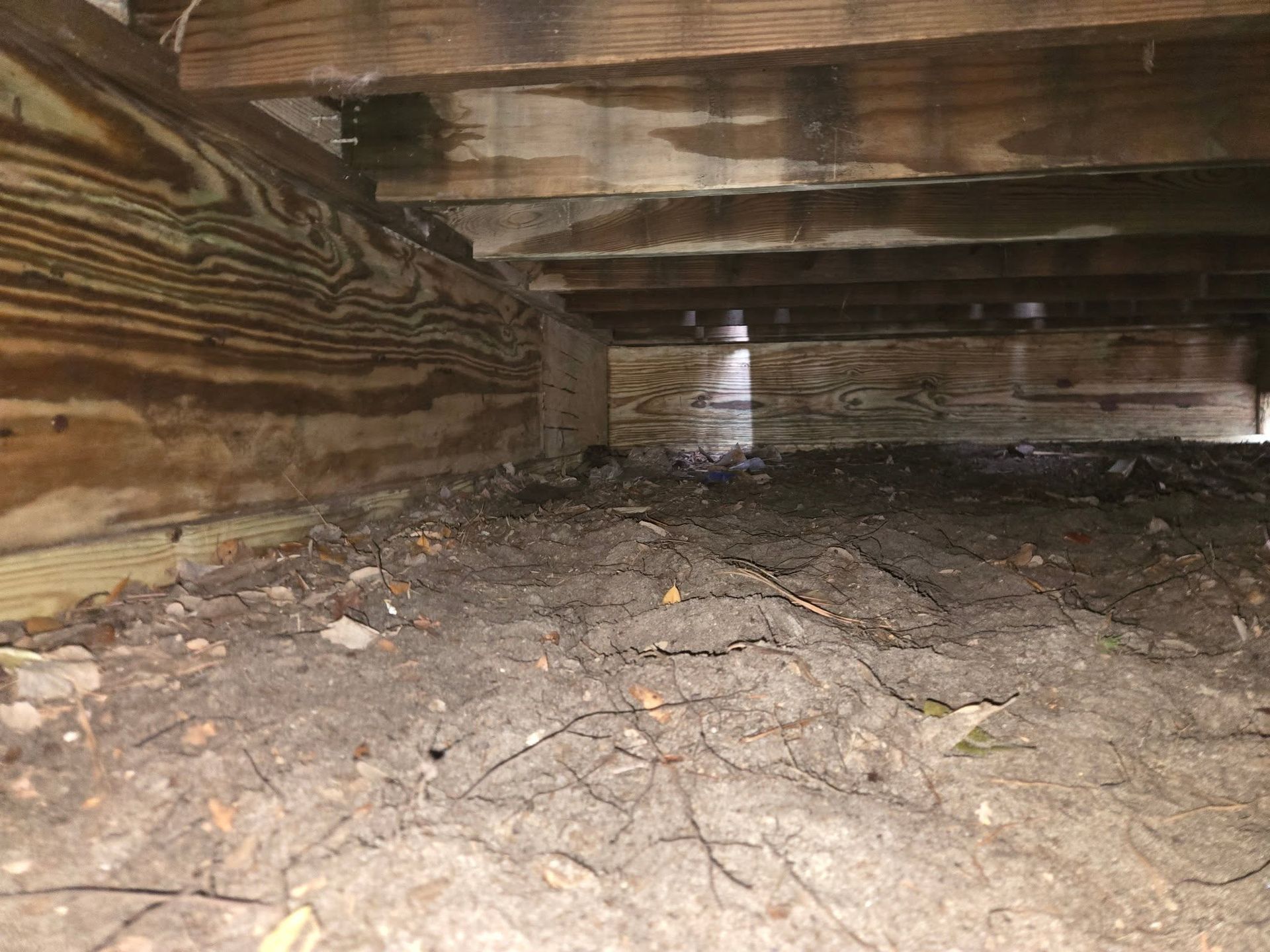 Under a wooden structure, a muddy crawlspace with bare dirt, debris, and rough beams overhead