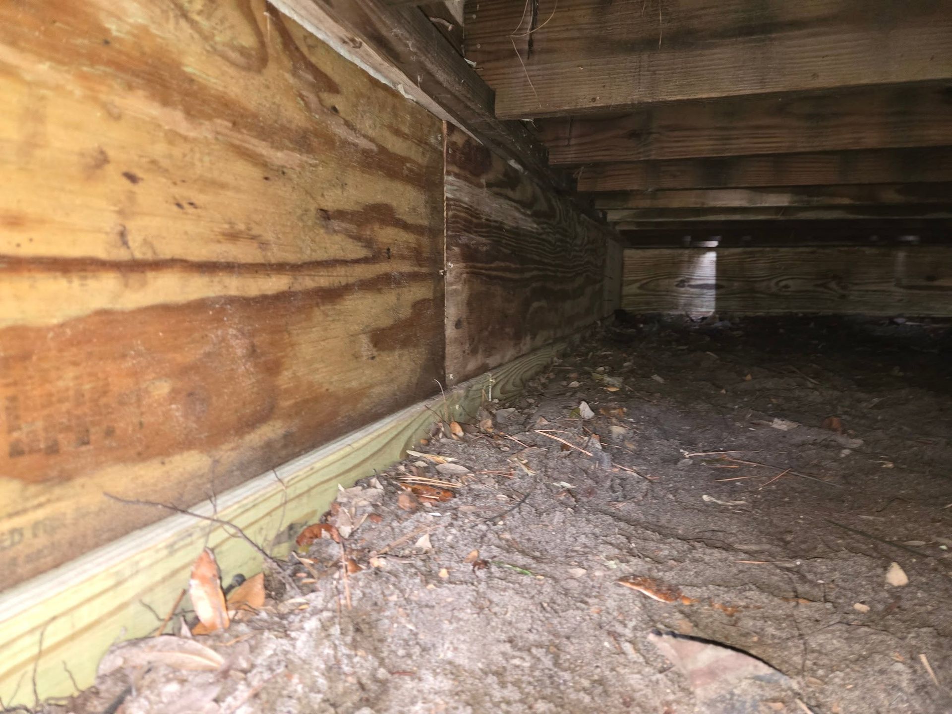 Close-up of a cramped wooden crawlspace with dirt floor and debris along the wall.