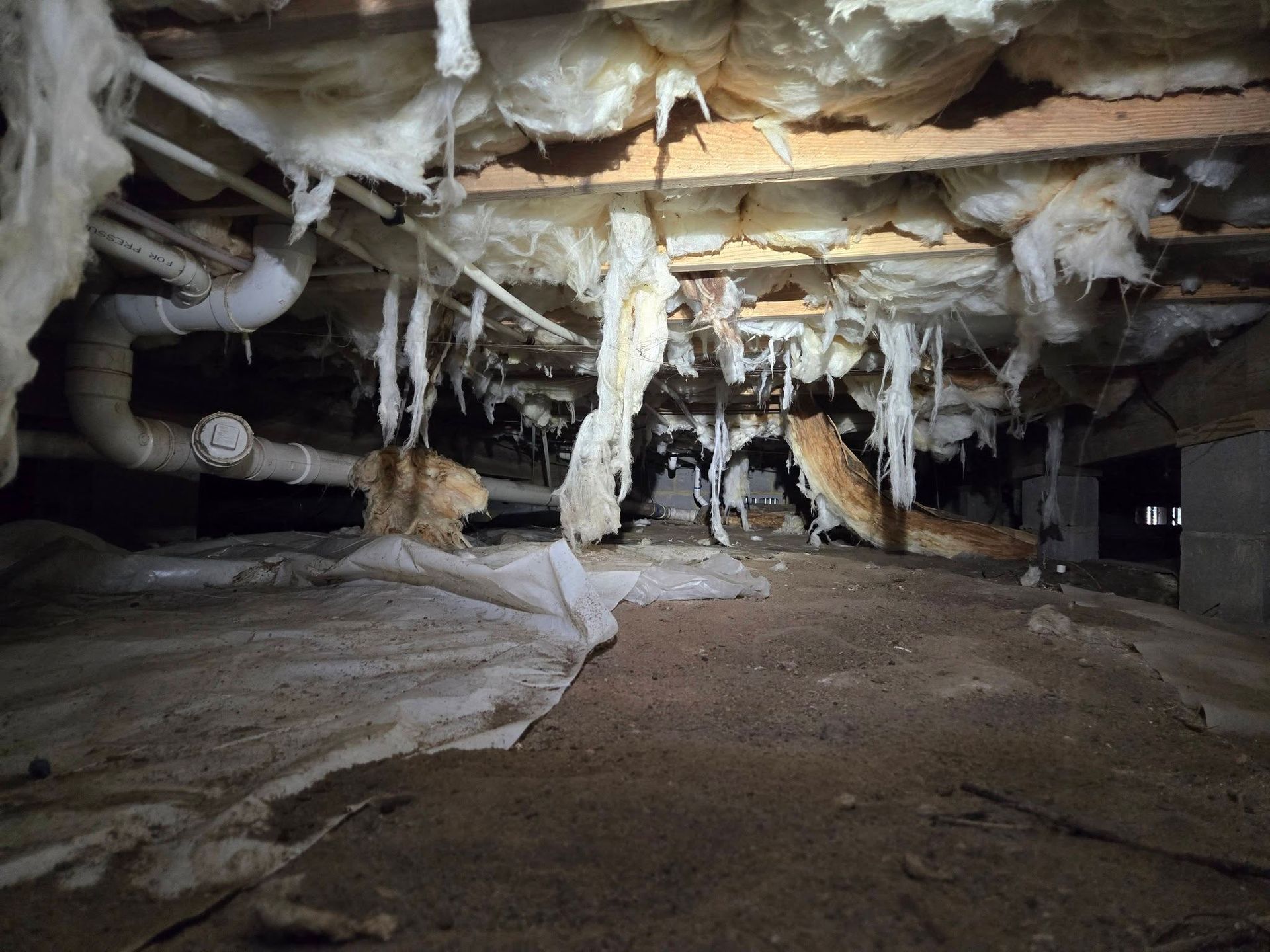 Underground cave chamber with hanging white formations and a dirt floor