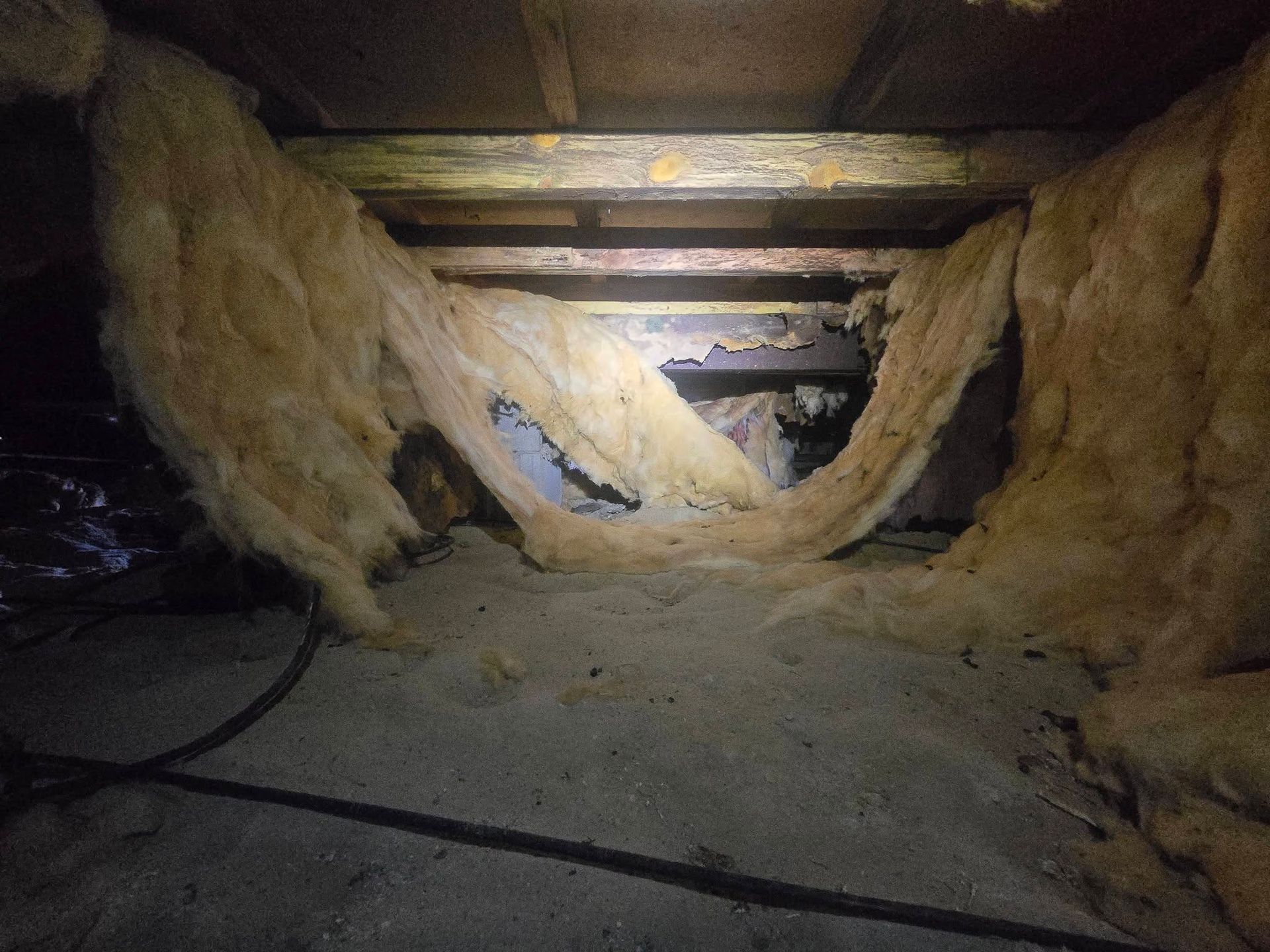 Insulation hanging from exposed wooden beams in a crawl space with a concrete floor