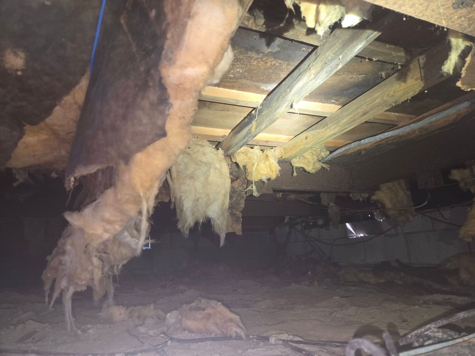 Crawlspace under a house with exposed joists, insulation hanging down, and debris on the ground