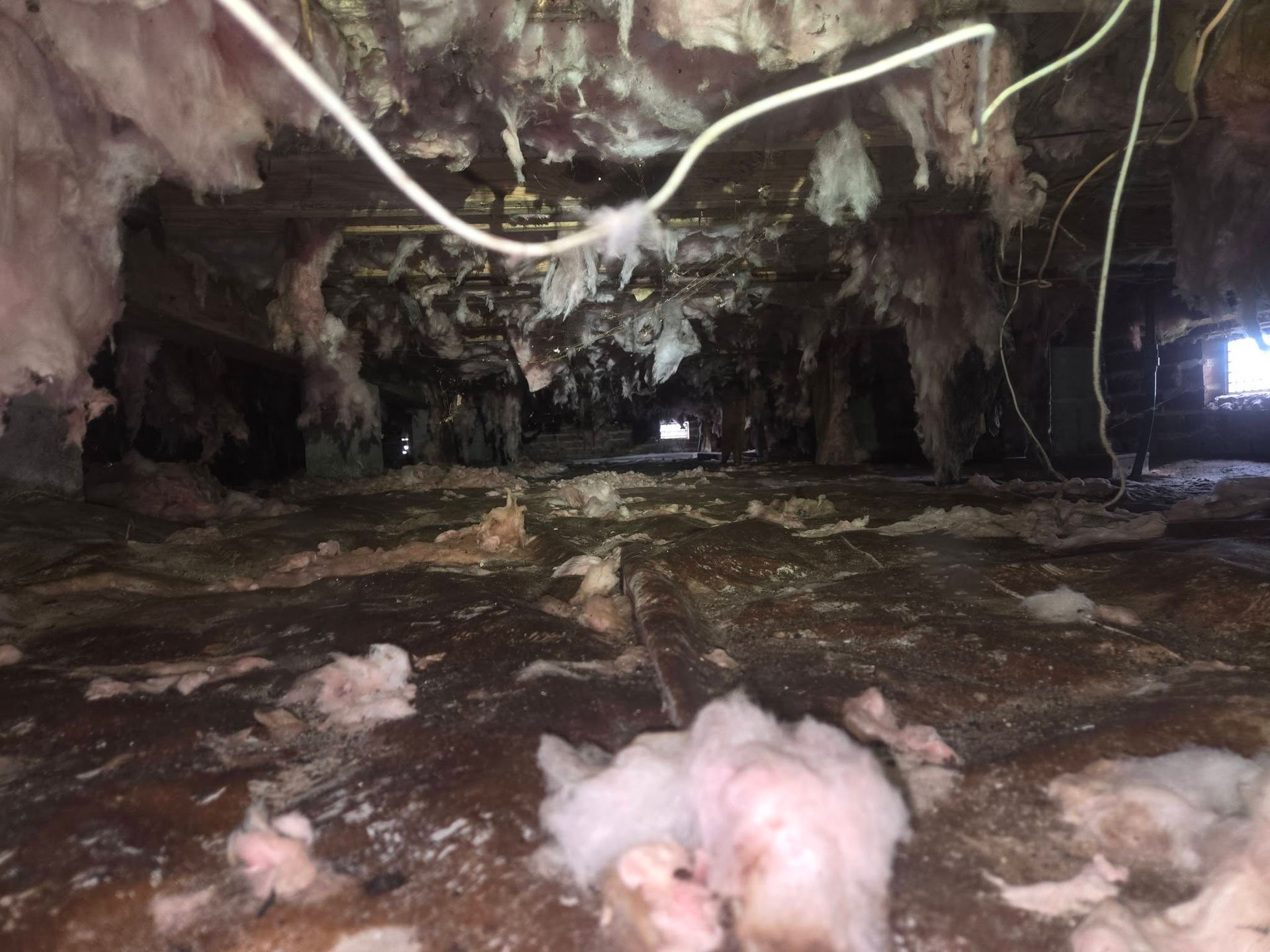 Inside a dim cave, icy water flows beneath hanging white formations and snow-covered ground