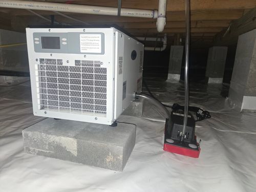 Portable generator on cinder blocks in a crawlspace, with a red fuel can beside it.