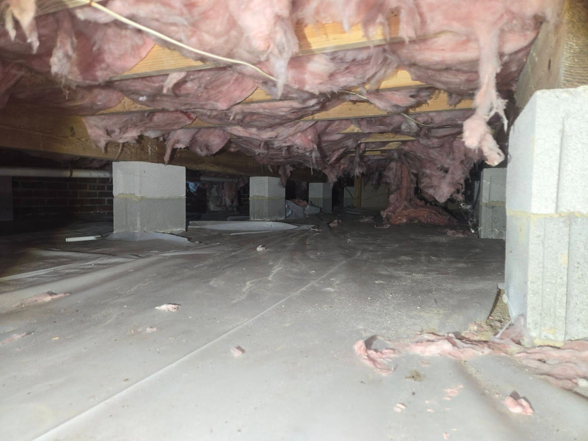 Crawlspace with pink insulation under floor, concrete slab, and support columns