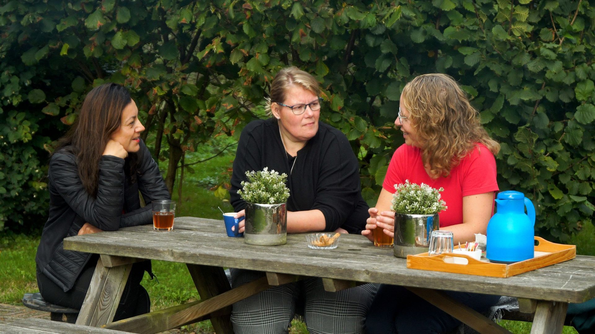 Lettelbert ontspannen paarden