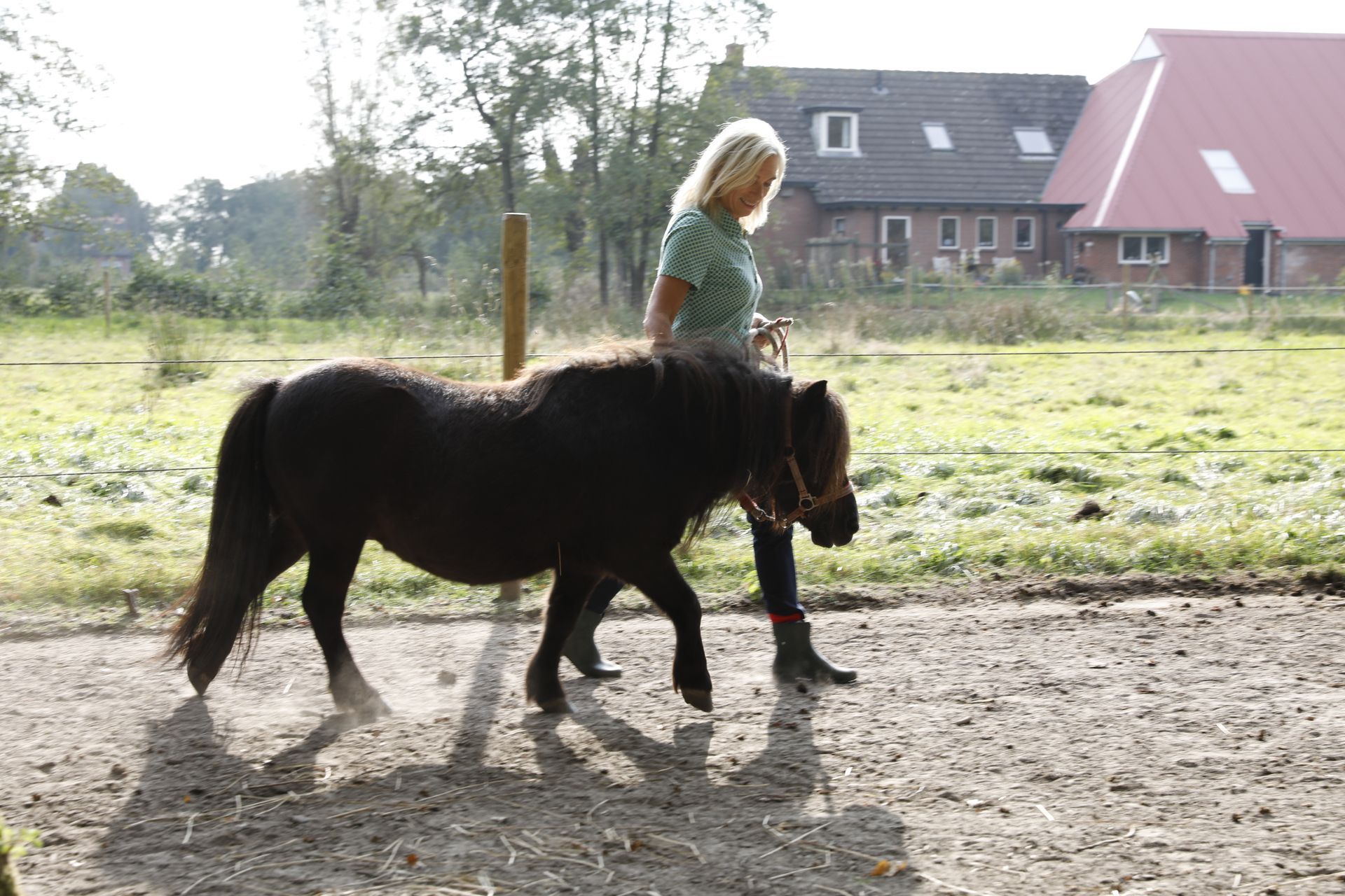 Coaching Groningen