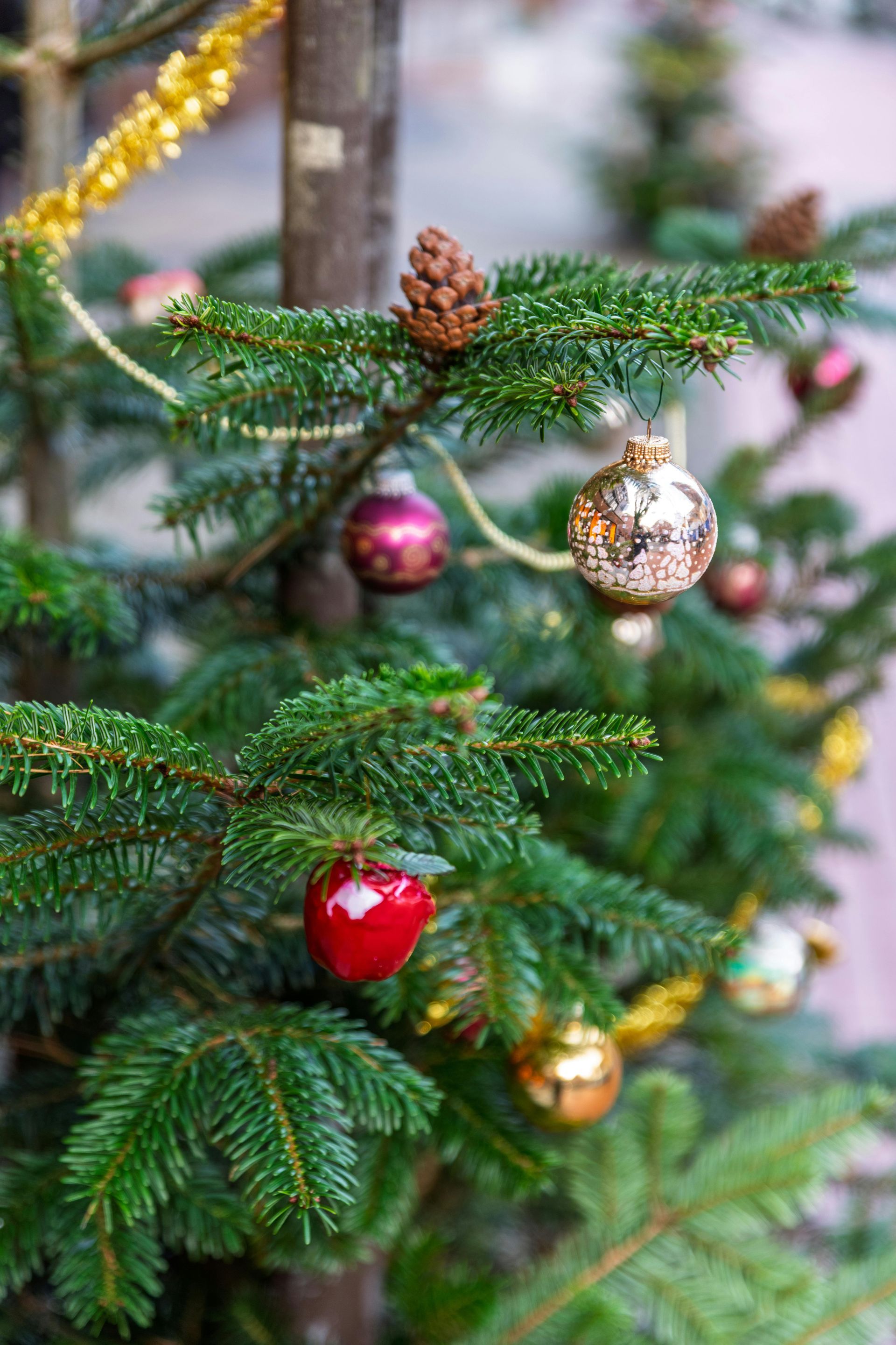 Weihnachten Angebote für Alleinreisende mit Festprogramm