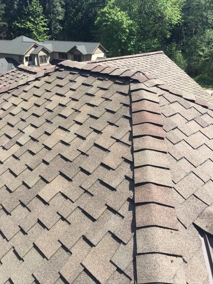 Roofing tiles after getting residential pressure washing service.