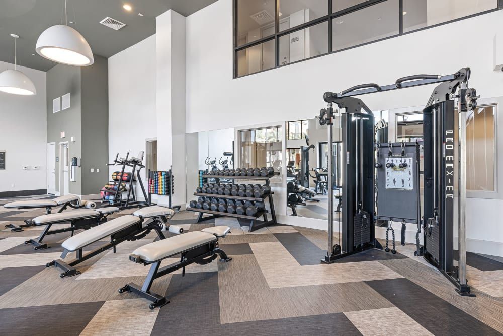 Modern gym interior with weight machines, benches, and high ceilings