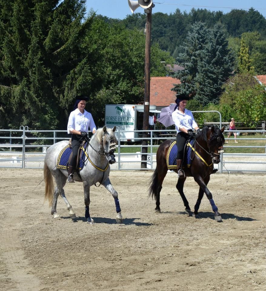 2 Frauen reiten auf Pferden