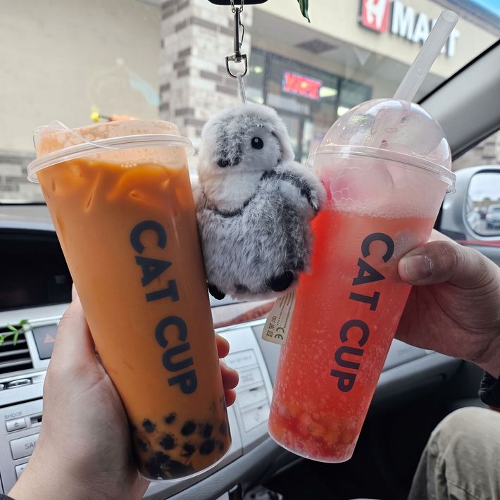 Two CAT CUP drinks, orange and pink, held in a car with a small plush toy between them.